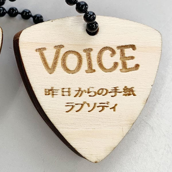 VOICE �����ԥå��������ۥ����