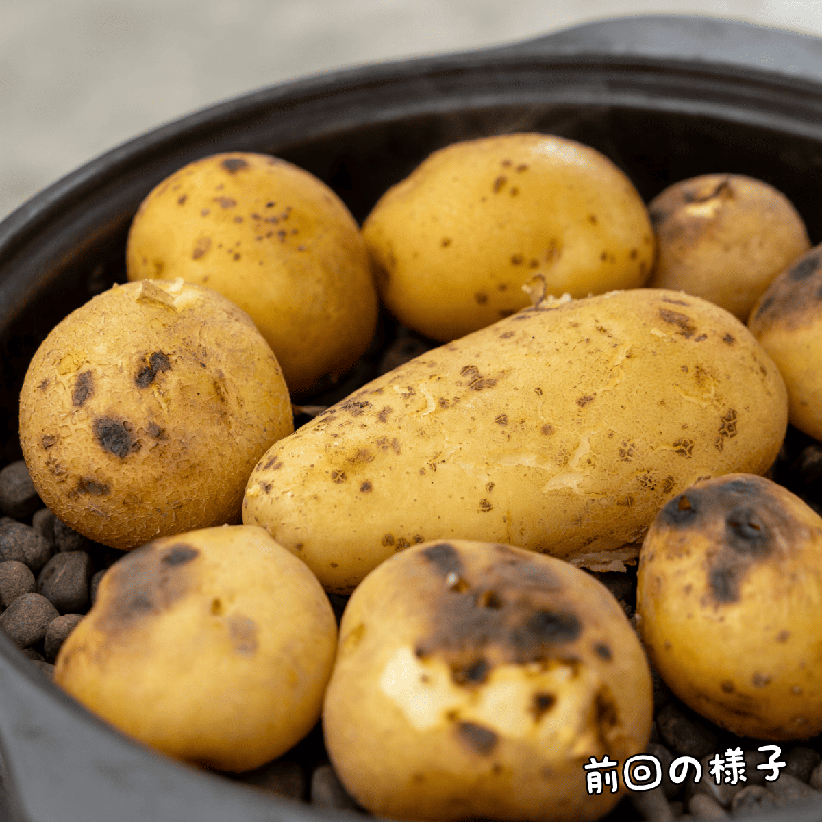 ��Fine �� �ե��󥬡��ǥ� ���㤬��������θ�����פ�FM��ɲ���ꥸ�ʥ뾦�ʥ��å�