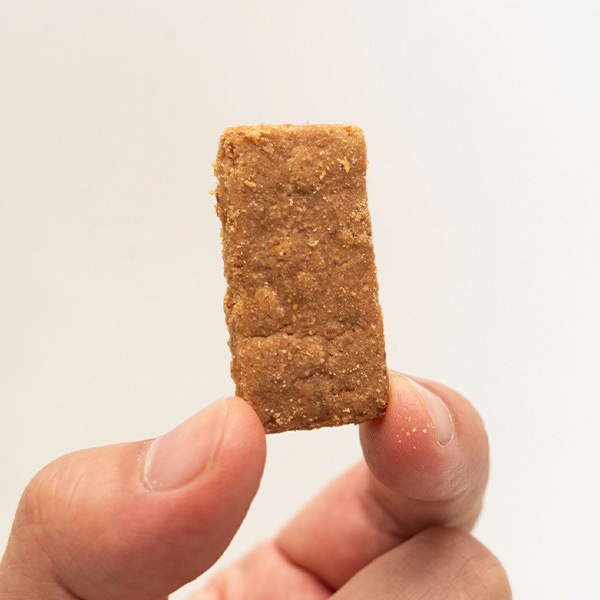 ����Ʀ������cookie�ؤ���Ʀ��̴ ���������˾��