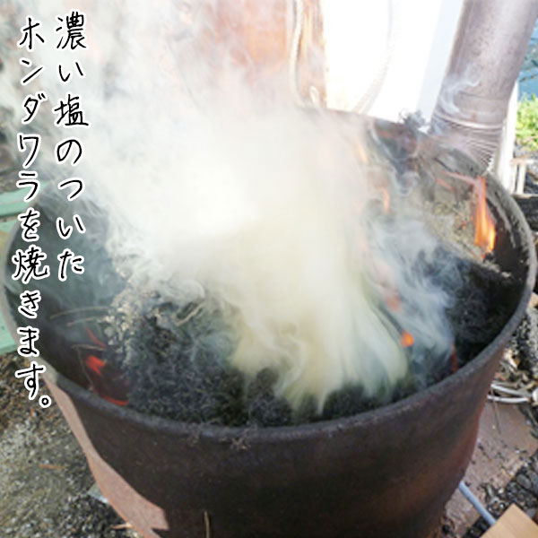 ʥ50g1ޡ
