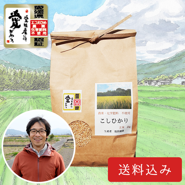 バオバブ様 専用