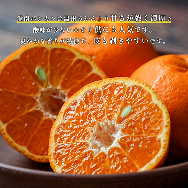 ե롼ĤΥݥ󥫥ʲѡ ڰɲĮ