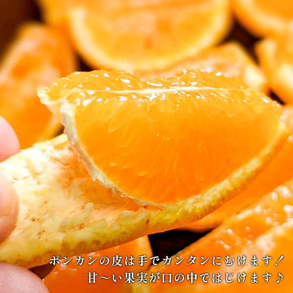 ե롼ĤΥݥ󥫥ʲѡ ڰɲĮ