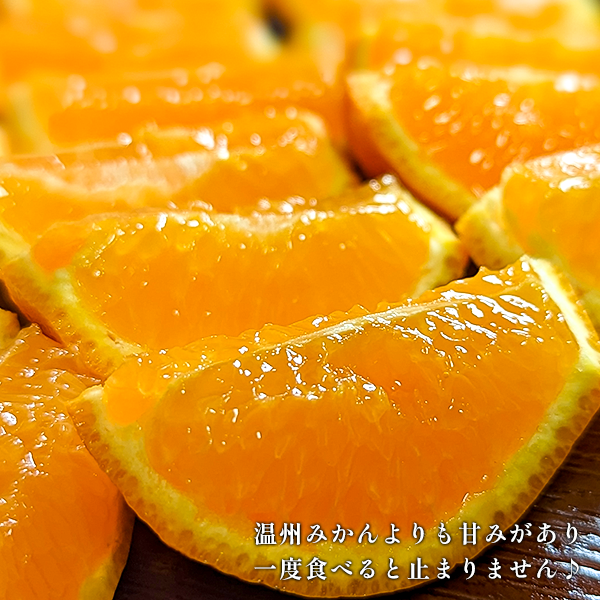 ե롼ĤΥݥ󥫥ʲѡ ڰɲĮ