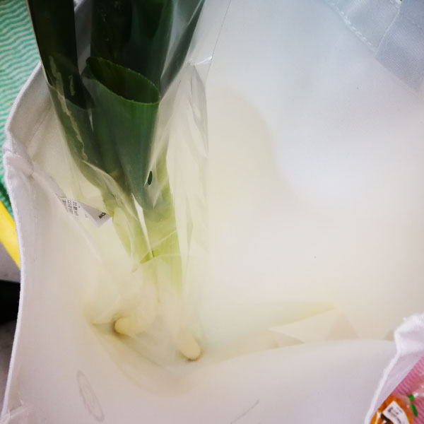 ֥硫ϡ פθȡȥХåʥۥ磻ȡ