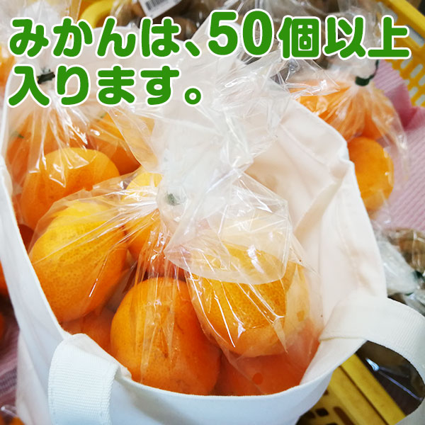 ֥硫ϡ פθȡȥХåʥۥ磻ȡ