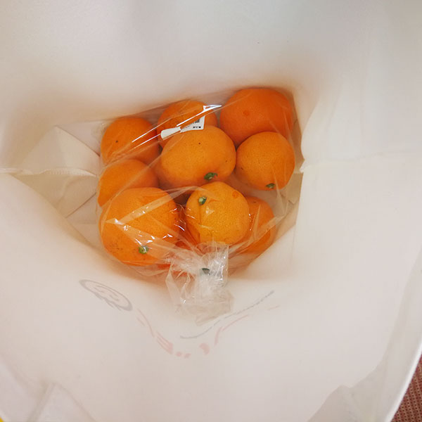 ֥硫ϡ פθȡȥХåʥۥ磻ȡ