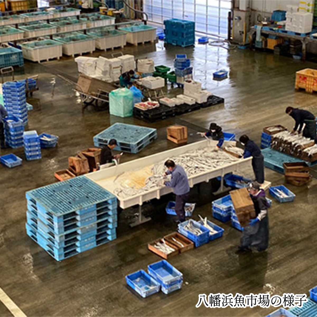 ��Τ����Ҥ�