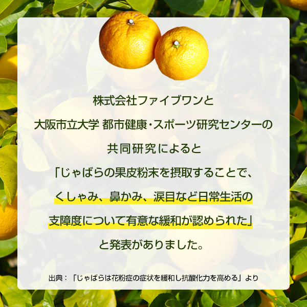 Ф饳󥯡2ܥåȡʴ̡ФΥ󥯡