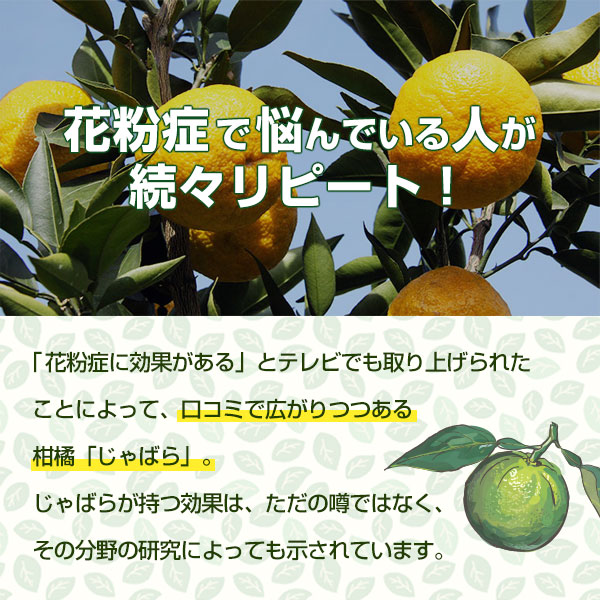 Ф饳󥯡2ܥåȡʴ̡ФΥ󥯡