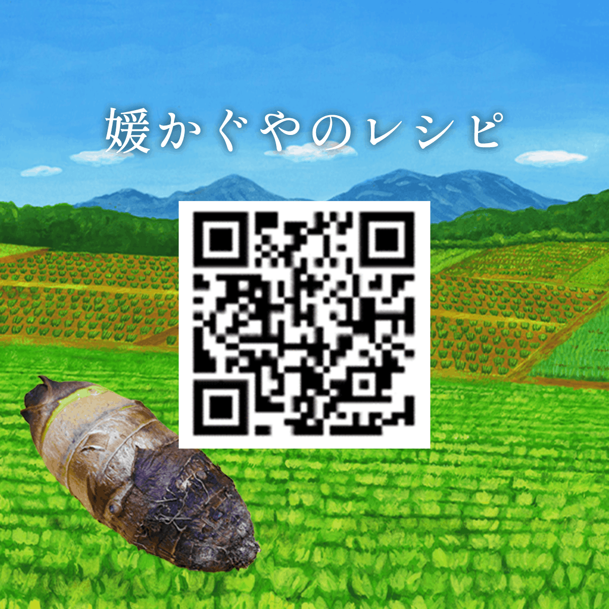 �����Фι��֥���Τ���ɲ������סʵ��ʳ���