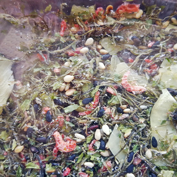 �ڿ��ʥ����︺�֤ۤä������ۡ���̣Ʋ��