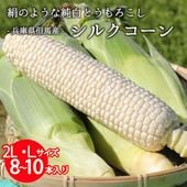 シルクコーン L/2L 8～10本 白いとうもろこし 豊岡市但東町 送料無料※7月上旬より順次発送します