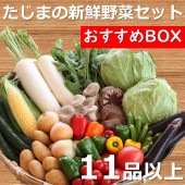 【農家応援】たじまの新鮮野菜セット（おすすめBOX）　新鮮野菜11品以上　※送料無料