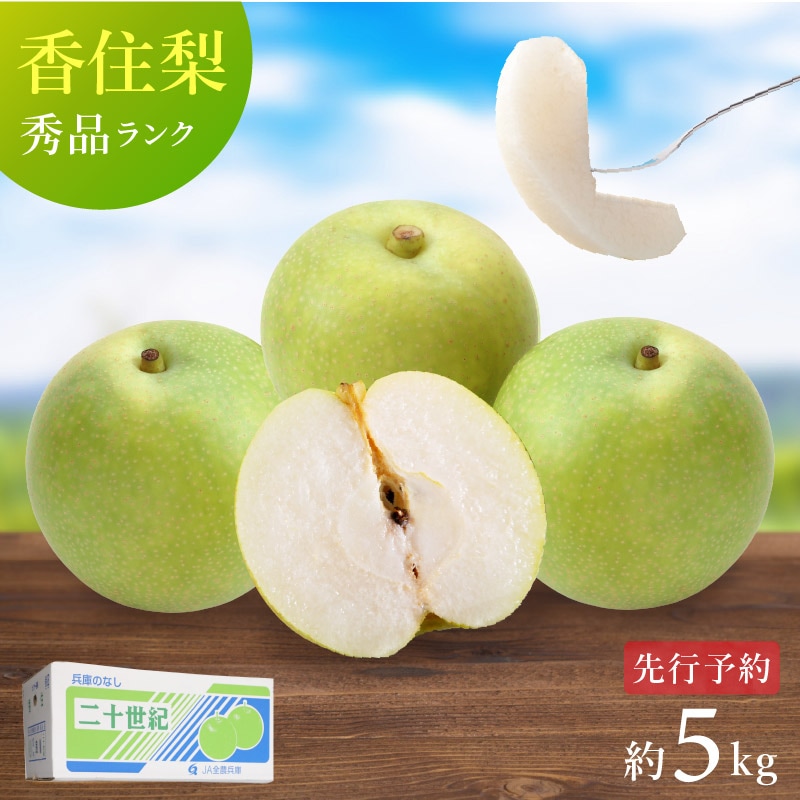 予約】 香住梨 二十世紀梨 秀品5kg 小さめ 贈答向け （L～2L:16～18玉