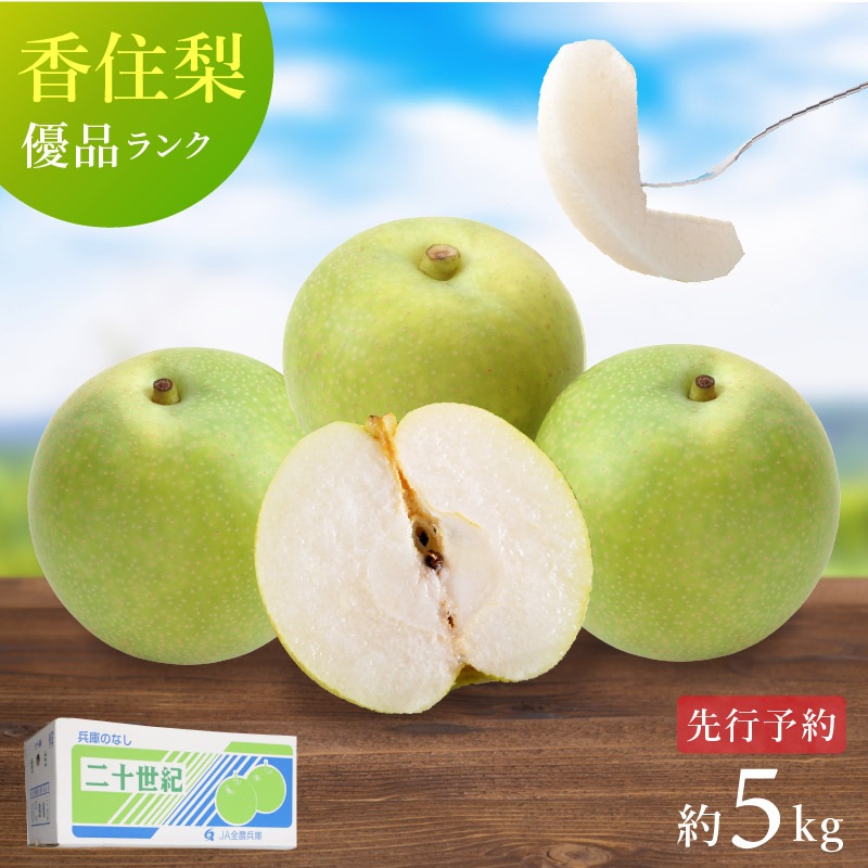 【予約】 香住梨 二十世紀 優品 5kg ご家庭用 （L～4L:12～18玉） ※送料無料 ※8月下旬から順次発送予定