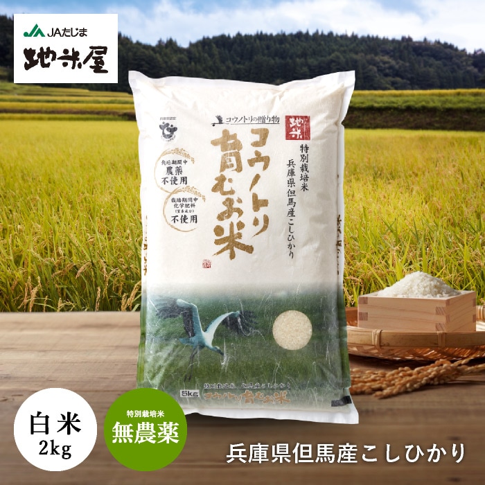 【令和7年産】 新米 特別栽培米　コウノトリ育むお米（無農薬）白米　2kg　送料無料
