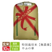 【生産者数減少により終売】特別栽培米　やぶの華（無農薬）玄米　30kg　送料無料