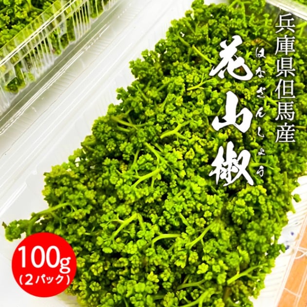 生 花山椒 100g（冷蔵）兵庫県但馬産 香美町 ※4月上旬より発送予定 クール冷蔵便