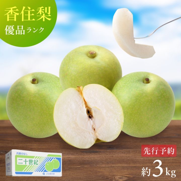【予約】 香住梨 二十世紀 優品 3kg ご家庭用 （2L～5L:6～10玉） ※送料無料 ※8月下旬から順次発送予定