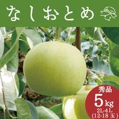 【8年度分 販売終了】 香住梨 なしおとめ 秀品 5kg 贈答向け （2L～5L:12～18玉） ※送料無料 ※8月中旬頃発送予定