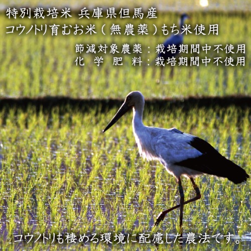 コウノトリ育むおもち 特別栽培米（無農薬） モチ 個舗装 丸餅 3kg（約90個） 送料無料 保存料不使用 ながモチフィルム 常温保存可能