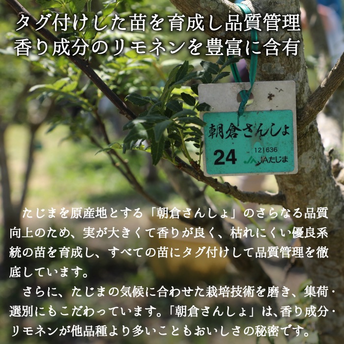 令和６年産 朝倉さんしょ 1kg（冷蔵）※5月下旬より順次発送します