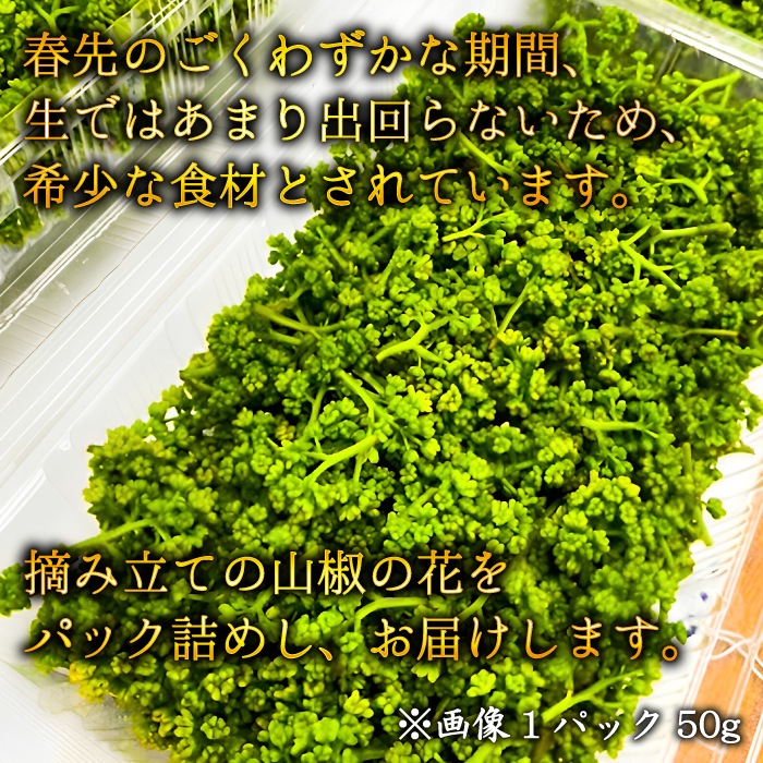生 花山椒 50g（冷蔵）兵庫県但馬産 香美町 ※4月上旬より発送予定 クール冷蔵便