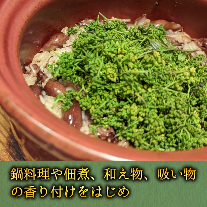 生 花山椒 50g（冷蔵）兵庫県但馬産 香美町 ※4月上旬より発送予定 クール冷蔵便