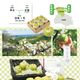 【8年度分 販売終了】 香住梨 なしおとめ 秀品 5kg 贈答向け （2L～5L:12～18玉） ※送料無料 ※8月中旬頃発送予定