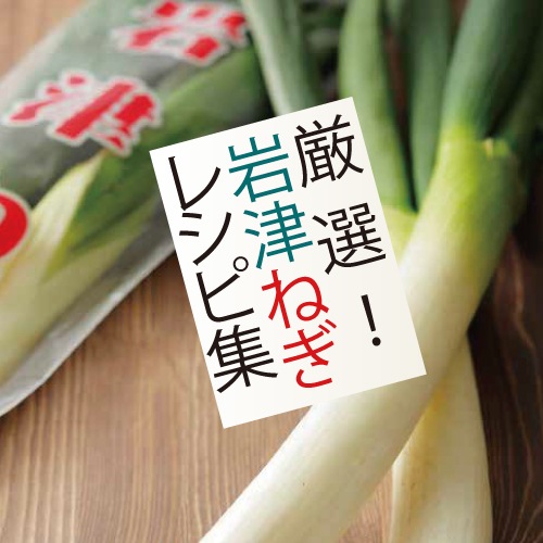 【予約 1月より順次発送】岩津ねぎ 約3kg（1袋2～3本入×10袋） 白ネギ 送料無料【同梱不可】