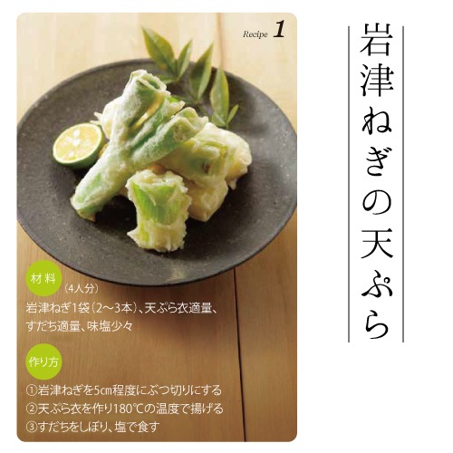 【予約 1月より順次発送】岩津ねぎ 約3kg（1袋2～3本入×10袋） 白ネギ 送料無料【同梱不可】