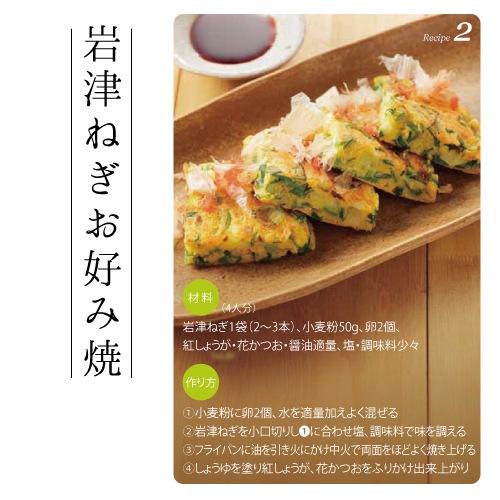 【予約 1月より順次発送】岩津ねぎ 約3kg（1袋2～3本入×10袋） 白ネギ 送料無料【同梱不可】