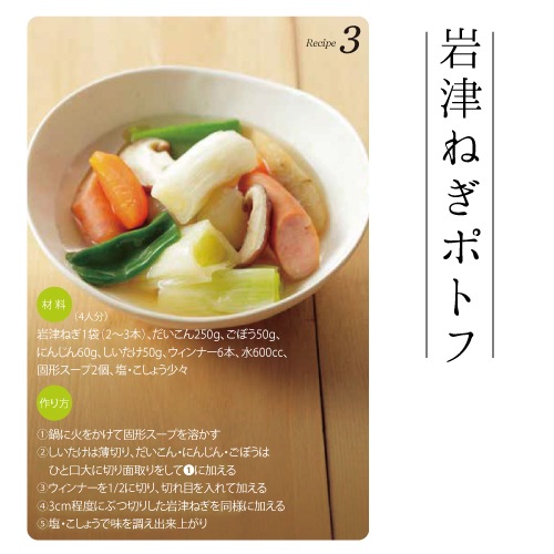 【予約 1月より順次発送】岩津ねぎ 約3kg（1袋2～3本入×10袋） 白ネギ 送料無料【同梱不可】