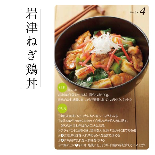 【予約 1月より順次発送】岩津ねぎ 約3kg（1袋2～3本入×10袋） 白ネギ 送料無料【同梱不可】