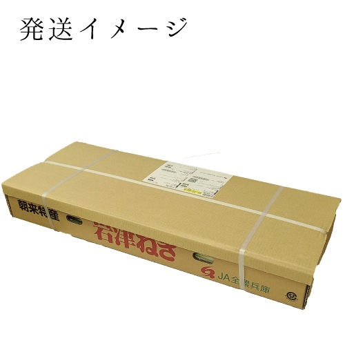 【予約 1月より順次発送】岩津ねぎ 約3kg（1袋2～3本入×10袋） 白ネギ 送料無料【同梱不可】