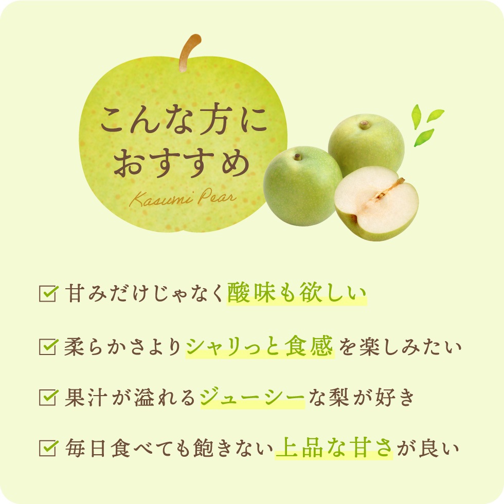 【予約】 香住梨 二十世紀 秀品 10kg 贈答向け 小さめ （L～2L:32～36玉） ※送料無料 ※8月下旬から順次発送予定
