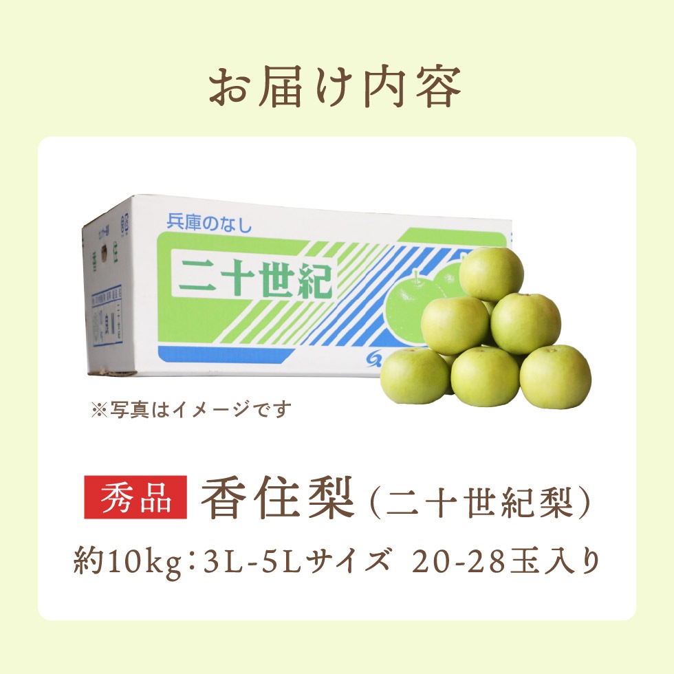 【予約】 香住梨 二十世紀 秀品 10kg 大きめ 贈答向け （3L～5L:20～28玉） ※送料無料 ※8月下旬から順次発送予定