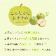 【予約】 香住梨 二十世紀 秀品 10kg 大きめ 贈答向け （3L～5L:20～28玉） ※送料無料 ※8月下旬から順次発送予定
