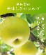 【予約】 香住梨 二十世紀 秀品 10kg 大きめ 贈答向け （3L～5L:20～28玉） ※送料無料 ※8月下旬から順次発送予定