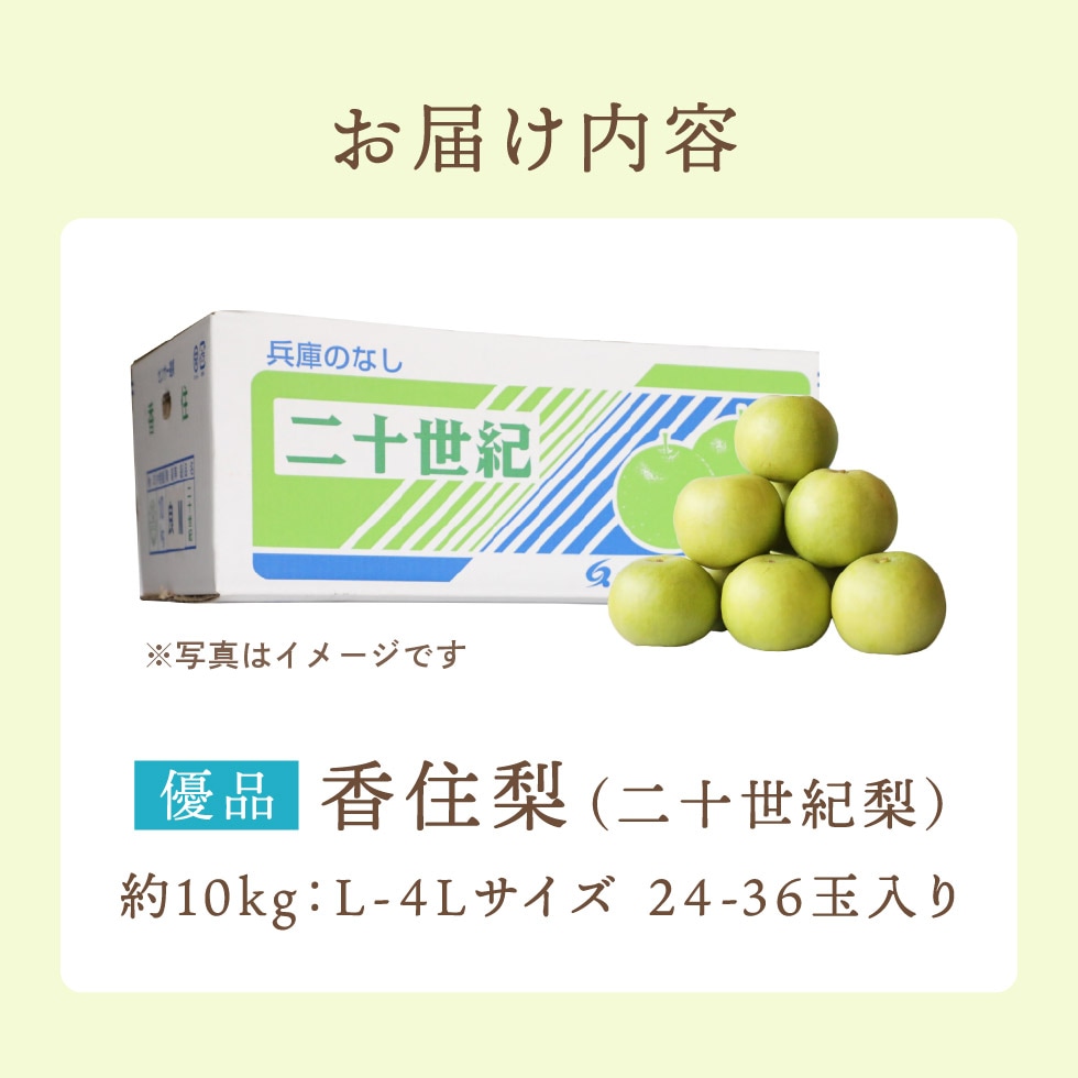 【予約】 香住梨 二十世紀 優品 10kg ご家庭用 （L～4L:24～36玉） ※送料無料 ※8月下旬から順次発送予定