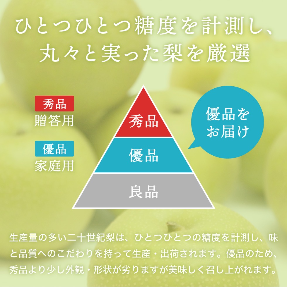 【予約】 香住梨 二十世紀 優品 10kg ご家庭用 （L～4L:24～36玉） ※送料無料 ※8月下旬から順次発送予定