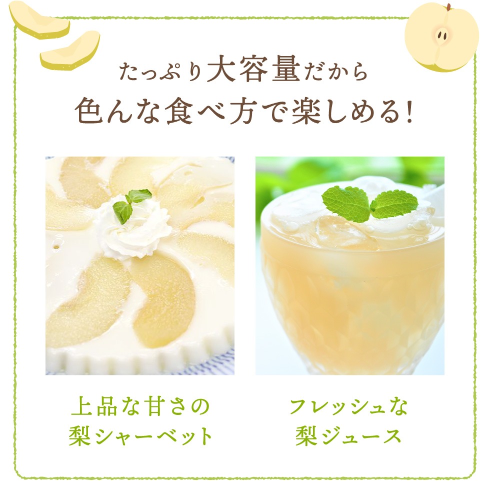 【予約】 香住梨 二十世紀 優品 10kg ご家庭用 （L～4L:24～36玉） ※送料無料 ※8月下旬から順次発送予定