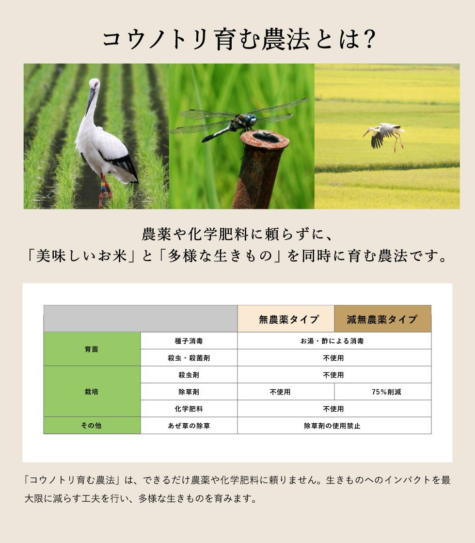 【新米・令和6年産】特別栽培米　コウノトリ育むお米（無農薬）玄米　2kg　送料無料