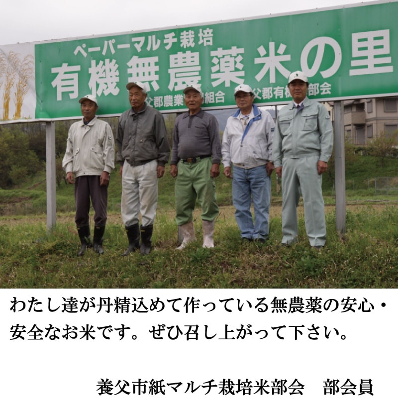 【生産者数減少により終売】特別栽培米　やぶの華（無農薬）玄米　30kg　送料無料