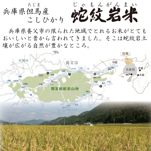 【令和7年産】 新米 特別栽培米 地域限定米　蛇紋岩米　白米　10kg　5kg×2袋　送料無料