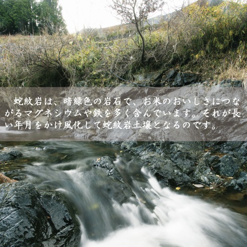 【令和7年産】 新米 特別栽培米 地域限定米　蛇紋岩米　白米　10kg　5kg×2袋　送料無料