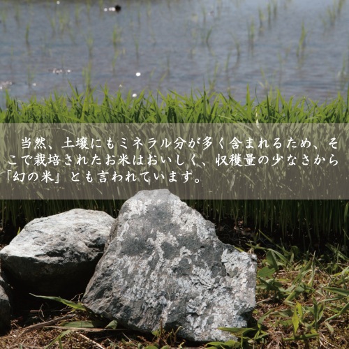 【令和7年産】 新米 特別栽培米 地域限定米　蛇紋岩米　白米　10kg　5kg×2袋　送料無料