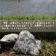 【令和7年産】 新米 特別栽培米 地域限定米　蛇紋岩米　白米　10kg　5kg×2袋　送料無料