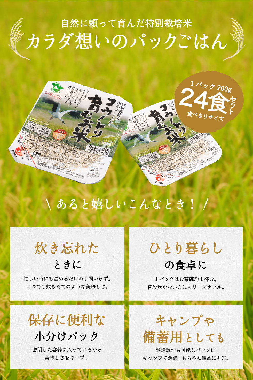 特別栽培米 兵庫県但馬産 コシヒカリ コウノトリ育むお米 パックご飯 200ｇ×24食（３ｐ×８ｐ）ケース